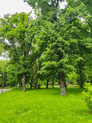 Tsar Simeon Garden in City of Plovdiv, Bulgaria