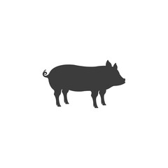 Pig icon vector