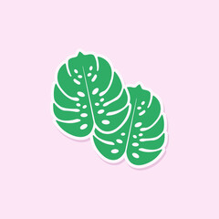 Monstera leaves vector 