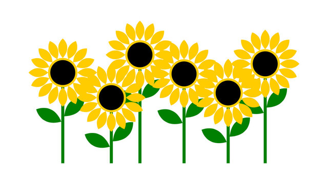 Group of Sunflower Icons. Vector image.