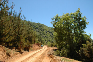 paisaje, naturaleza, cielo, montagna, bosque, montagna, árbol, verde, árbol, impresiones, cerro,...