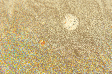 dirty water surface close-up. background of dirty water