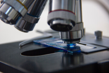 microscope in laboratory