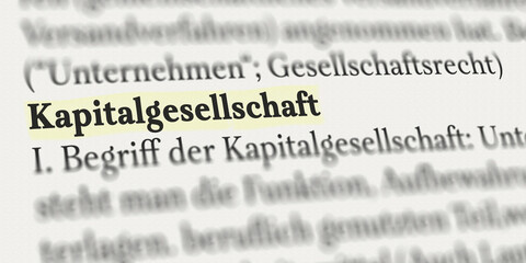 Kapitalgesellschaft im Buch markiert