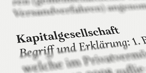 Kapitalgesellschaft Definition