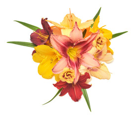 Obraz na płótnie Canvas Collection daylily hemerocallis head flowers with leaf isolated on white background. Top view, flat lay