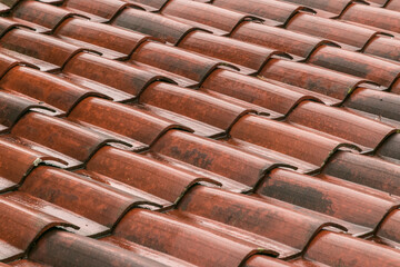 Lovely and colorful wet roof tiles 