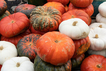 many decorative pumpkins in orange green and white