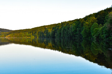 reflection of trees in the lake