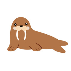 Vector illustration of an isolated walrus with a cute face. Simple, flat style.