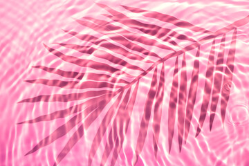 Soft focus lite pink cosmetic moisturizer floral water, micellar toner, or emulsion abstract...