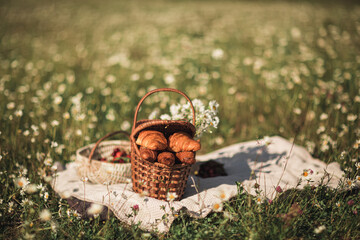 picnic baskets with croissants and cherries in a chamomile field