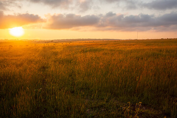 sunset over field