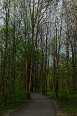 Fototapeta premium St-Charles River spring 2020