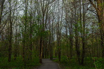 St-Charles River spring 2020