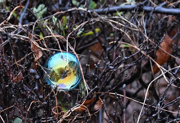 Colorful large floating bubble, out of focus grey trees in background, cityscape reflected in bubble