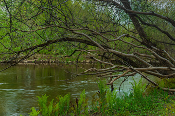 St-Charles River spring 2020