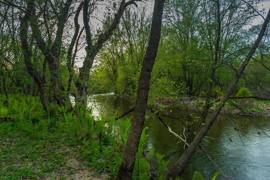 St-Charles River spring 2020 © Victor