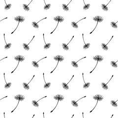 Vector illustration seamless pattern with white-black dandelion.