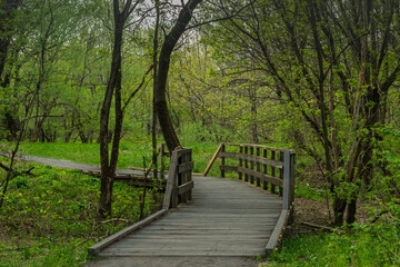 St-Charles River spring 2020