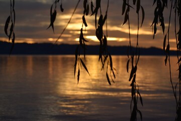 ATARDECER