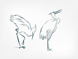 heron birds vector illustration japanese chinese ink line sketch style