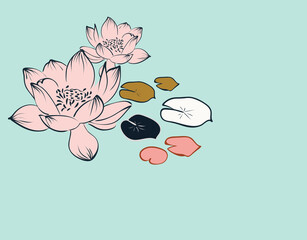 water lily lotus pink traditional card background vector illustration line art japanese chinese oriental design