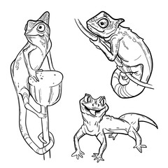 Set of different lizards in realistic style for tattoo and other use.