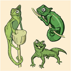 Vector illustration of green lizards and chameleon in a realistic style for tattoos, prints, zoological illustrations.