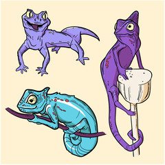 Bright lizards, set of illustrations for animal lovers in a realistic style.