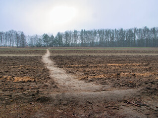 the path on the field