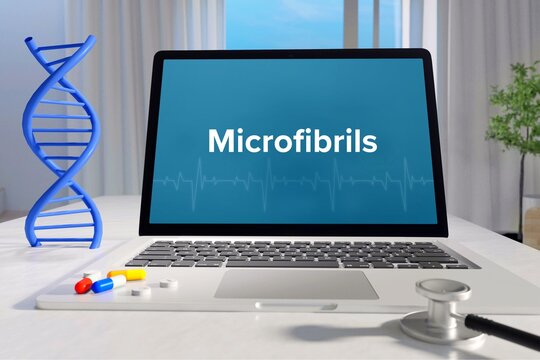 Microfibrils. Medicine/healthcare. Computer in the office of a surgery. Text on screen. Laptop of a doctor. Science/health