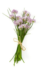 blooming chives isolated on white background