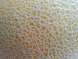 close up of a yellow melon