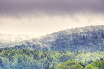 green Tree covered hills in the mist and fog in the morning 