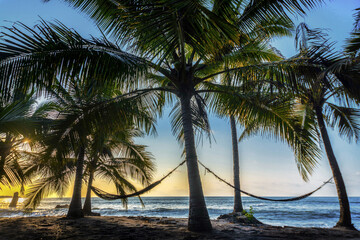 Fototapeta na wymiar Palm trees at sunset at Cumiliche beach in Esmeraldas,Ecuado