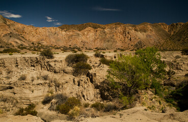 Panorama view of Pampa del Leoncito, arid desert landscape in San Juan, Argentina. Cliffs and Andes mountain range texture and flora.  