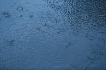 Fototapeta na wymiar Raindrops on a water surface - a rainy weather background
