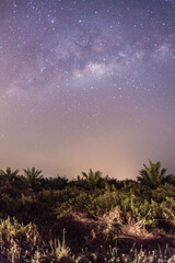 Fototapeta na wymiar Milkyway galaxy stars view for cosmos background startrails