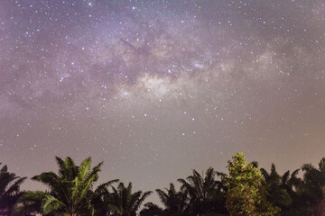 Naklejka premium Milkyway galaxy stars view for cosmos background startrails