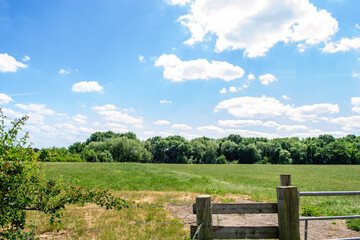 Fototapeta na wymiar Green field in Oakham, Rutland, England