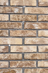 Textured brick wall, different colors. Stone wall