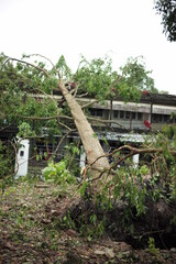 ความเสียหาย หลังพายุปลาบึกสงบ จังหวัดนครศรีธรรามราช 