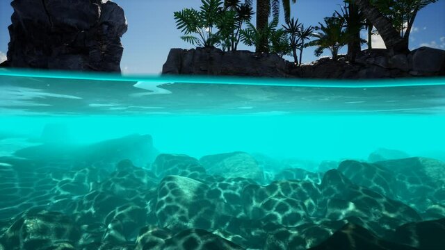 Split view cross section of sea water and palm trees on Island. Rocks underwater in transparent clear water, cloudy sky above