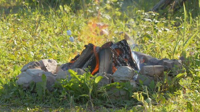 Cooking marshmallow over the camp fire at sunset, filmed with a super tele lens in UHD