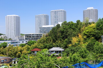 横浜市東戸塚平戸の春　旧東海道の風景　権太坂から平戸へ　