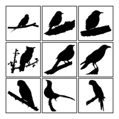 Set of Simple Vector Design of a Bird in Black