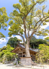 宝満宮竈門神社（ほうまんぐうかまどじんじゃ）福岡県太宰府市
