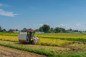 Farmer in combine harvester harvesting crop from the field