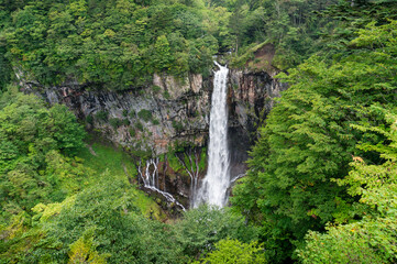 Waterfall in the forest landscape. Kegon falls in Nikko, Japan